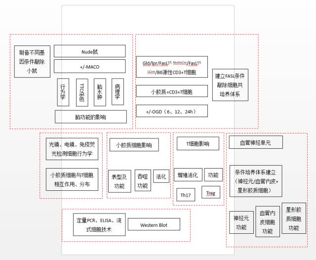 什么軟件可以繪制路線圖_繪制路線圖軟件可以用嗎_繪制路線圖軟件可以用什么