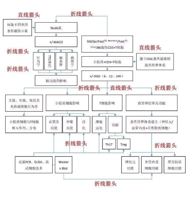 繪制路線圖軟件可以用嗎_繪制路線圖軟件可以用什么_什么軟件可以繪制路線圖