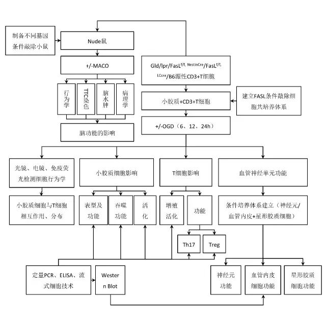 繪制路線圖軟件可以用嗎_什么軟件可以繪制路線圖_繪制路線圖軟件可以用什么