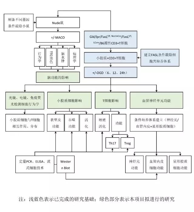 繪制路線圖軟件可以用什么_什么軟件可以繪制路線圖_繪制路線圖軟件可以用嗎
