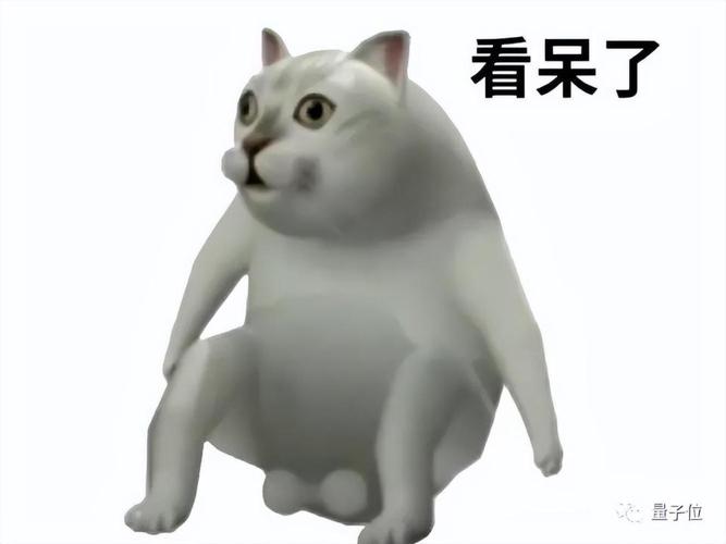 驗證碼是文字怎么填不對_驗證碼文字輸入有危險嗎_有文字的驗證碼怎么輸入