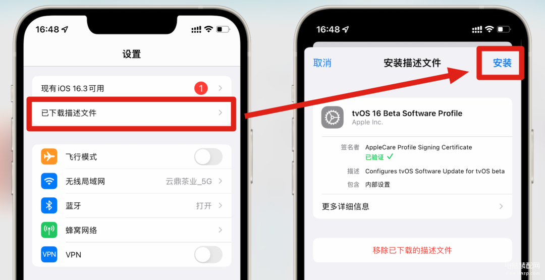 蘋果系統更新的小紅點怎么去掉,屏蔽iOS16系統更新,去除小紅點方法