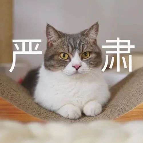 電腦驗證碼顯示不全怎么辦_驗證碼顯示電腦出來上傳怎么辦_電腦上驗證碼顯示不出來